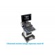 MACH 40 Ultrasound machine hologic Supersonic